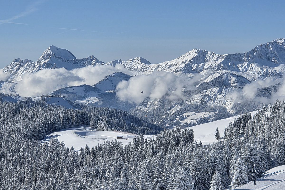 Sommets et forêts enneigées