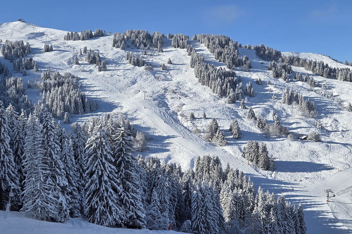 Pistes et forêts enneigées