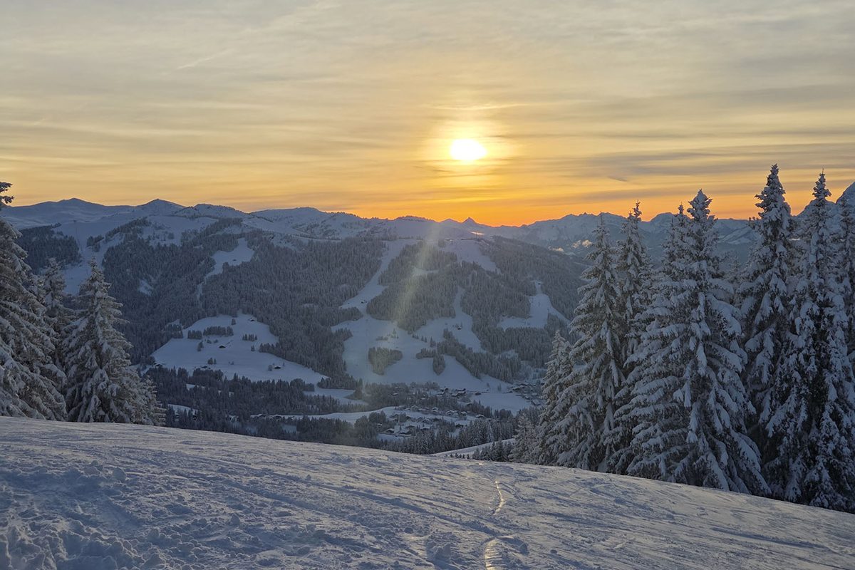 Coucher de soleil sur le domaine